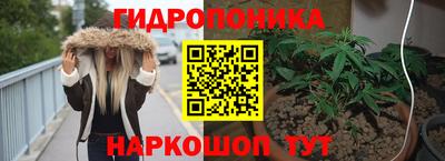 хмурый Гусь-Хрустальный