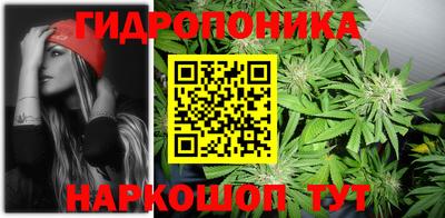 ГАЛЛЮЦИНОГЕННЫЕ ГРИБЫ Гусев