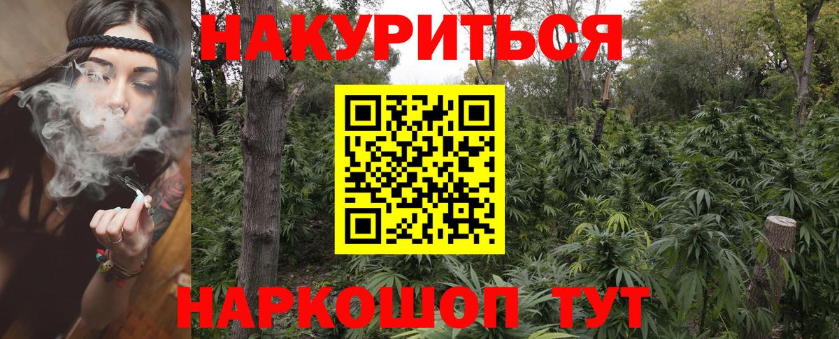 Бошки марихуана сатива  Вход с VPN  Конопля White Widow  Карпинск 